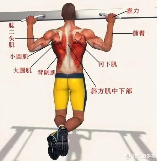 室内健身多喝水好不好呀